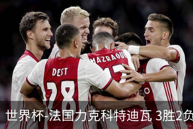 世界杯-法国力克科特迪瓦 3胜2负告别世界杯
